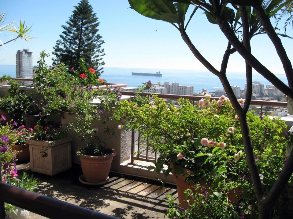123 Ocean View Drive Apartment เคปทาวน์ ภายนอก รูปภาพ